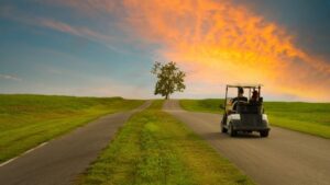 Read more about the article The Benefits Of Owning A Brand New Golf Cart