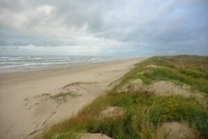 Read more about the article Top ATV and Dirt Bike Trails Near Corpus Christi, TX