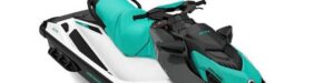 Read more about the article Why Should You Choose A Sea Doo Pwc